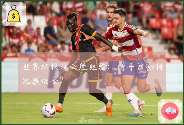 世界杯投注必胜经验：新手该如何把握机会？