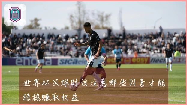 世界杯买球时该注意哪些因素才能稳稳赚取收益