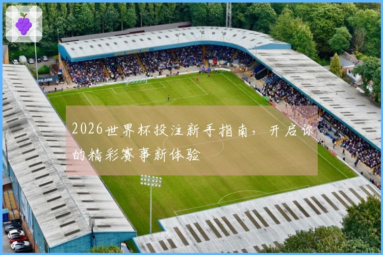 2026世界杯投注新手指南，开启你的精彩赛事新体验