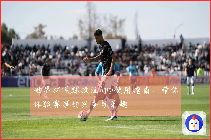 世界杯滚球投注App使用指南，带你体验赛事的兴奋与乐趣