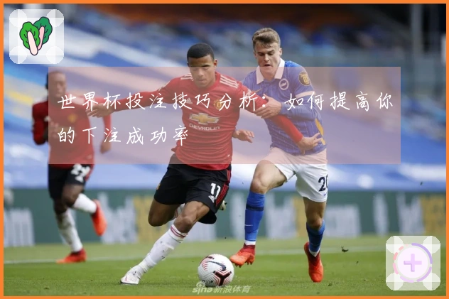 世界杯投注技巧分析:如何提高你的下注成功率