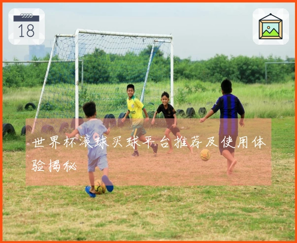 世界杯滚球买球平台推荐及使用体验揭秘