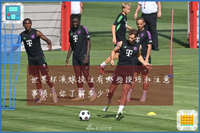 世界杯滚球投注有哪些技巧和注意事项，你了解多少？