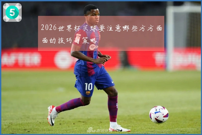2026世界杯买球要注意哪些方方面面的技巧与策略