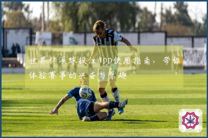 世界杯滚球投注App使用指南，带你体验赛事的兴奋与乐趣