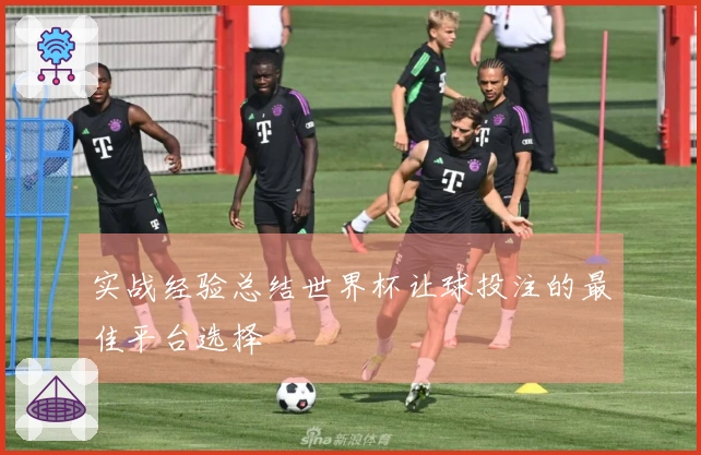 实战经验总结世界杯让球投注的最佳平台选择