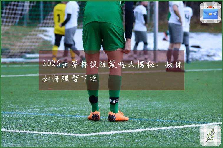 2026世界杯投注策略大揭秘，教你如何理智下注