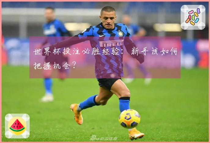 世界杯投注必胜经验：新手该如何把握机会？