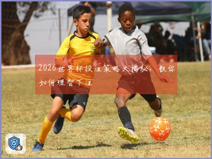 2026世界杯投注策略大揭秘，教你如何理智下注