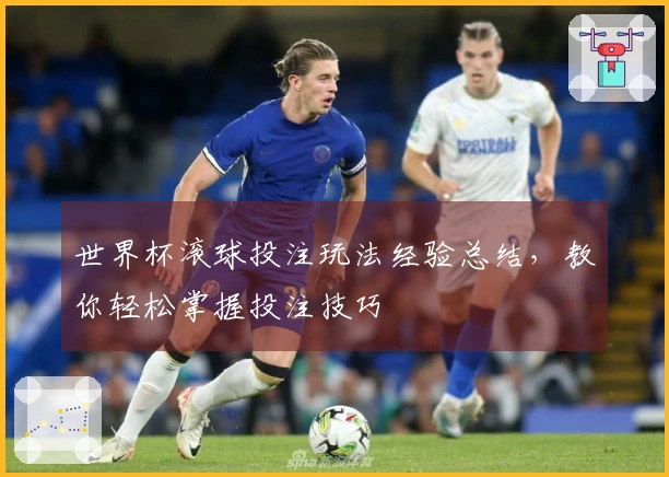 世界杯滚球投注玩法经验总结，教你轻松掌握投注技巧