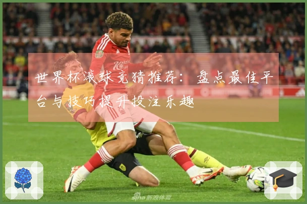 世界杯滚球竞猜推荐：盘点最佳平台与技巧提升投注乐趣