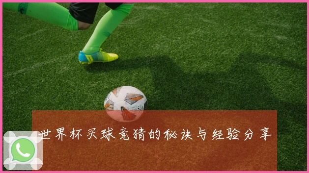 世界杯买球竞猜的秘诀与经验分享