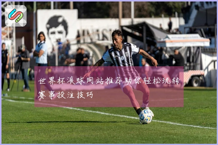世界杯滚球网站推荐助你轻松玩转赛事投注技巧