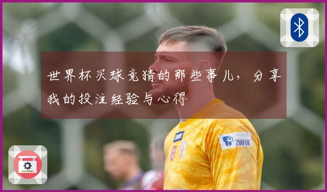 世界杯买球竞猜的那些事儿，分享我的投注经验与心得